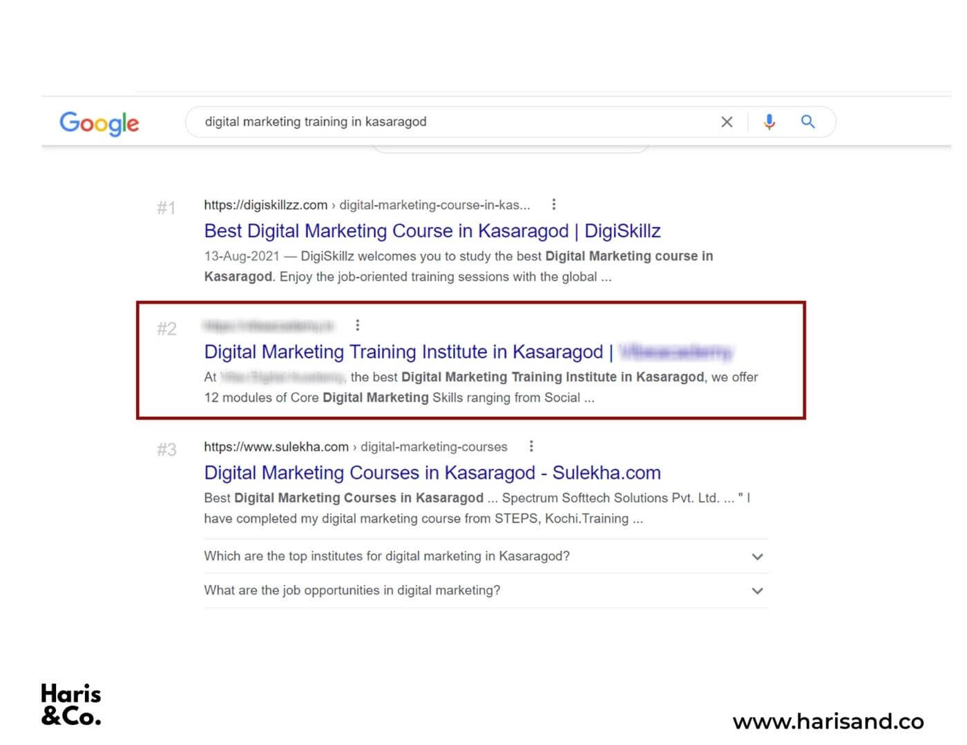 vibe-seo-results-haris-and-co-1
